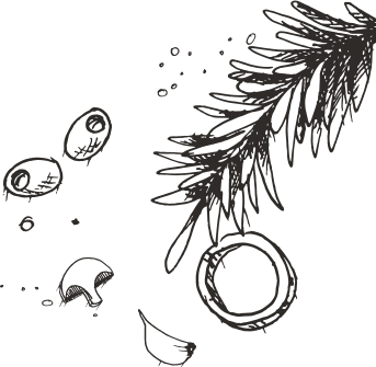 decorative shape